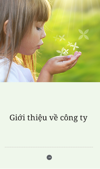 Giới thiệu về công ty